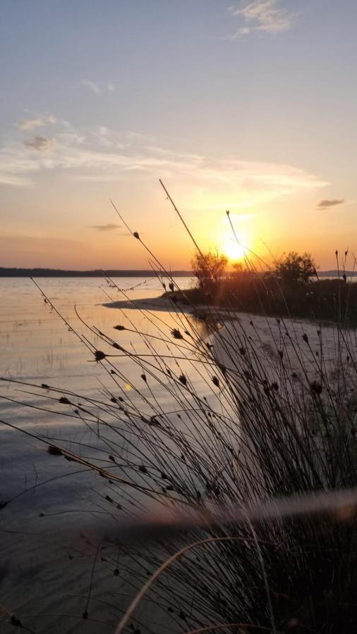 Cocon du lac : Mobilhome 3 chambres, 6 pers, camping 5* Biscarrosse Extérieur photo